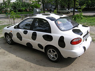 Lanos as a cow, but somebody see the Dalmatian dog :)