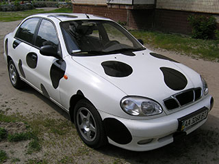 Daewoo Lanos colored as a cow